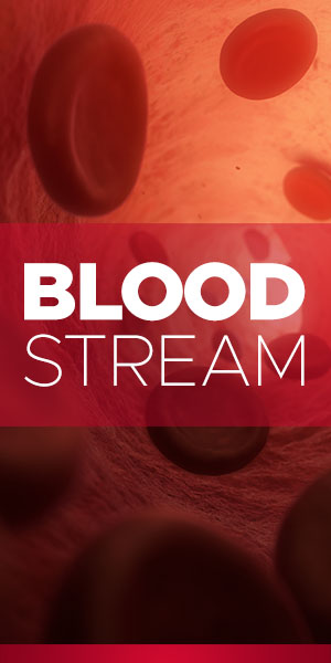 Bloodstream
